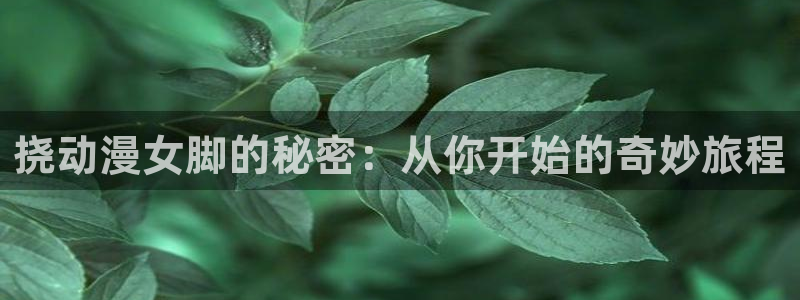 记得香蕉成熟时完整版：挠动漫女脚的秘密：从你开始的奇妙旅程配图