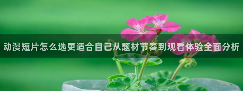 香蕉成熟时2粤语：动漫短片怎么选更适合自己从题材节奏到观看体验全面分析配图